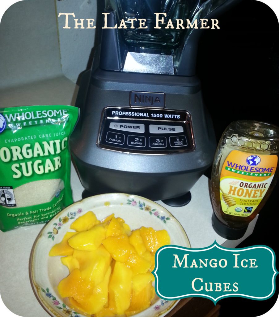 Lego Mango Ice Cubes easy treat for kids or use to add a mango flavor to your favorite drink!