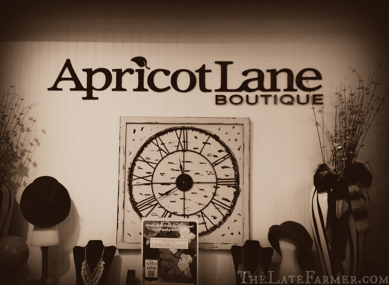 Apricot Lane
