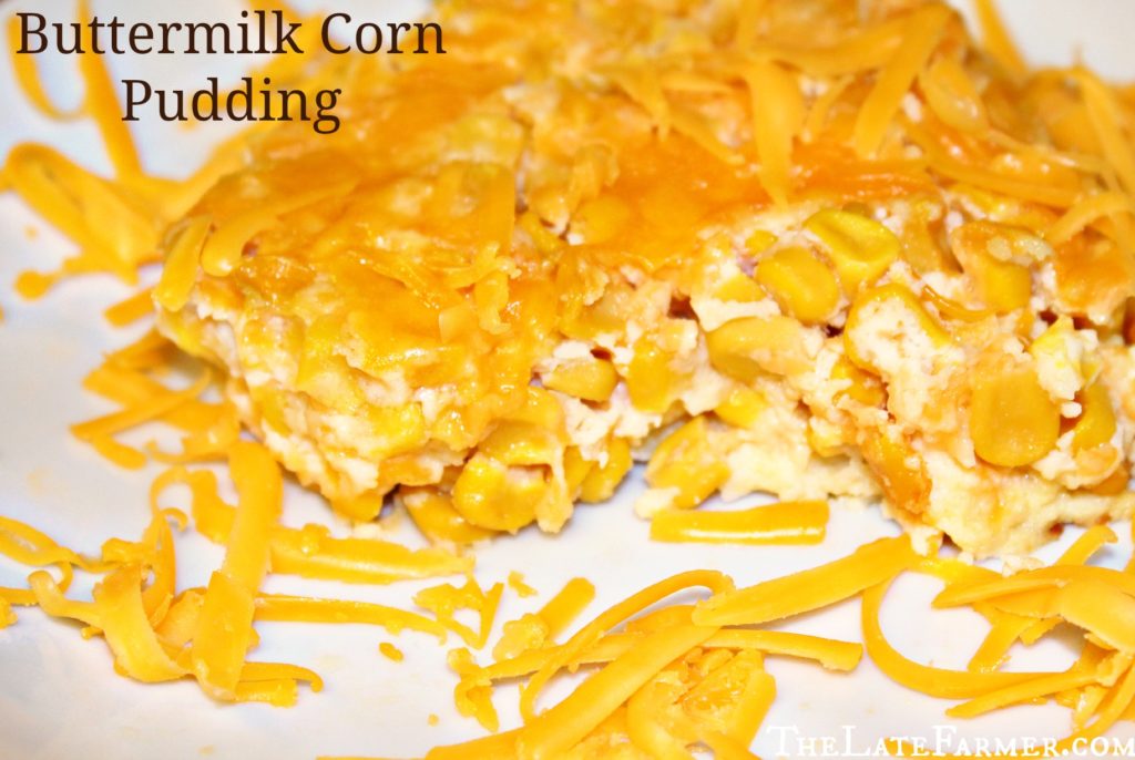 Buttermilk Corn Pudding - TheLateFarmer.com