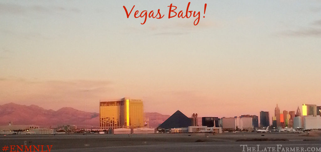 Vegas Baby - TheLateFarmer.com #ENMNLV