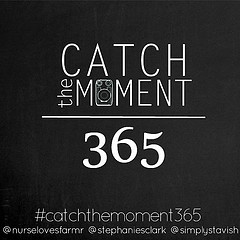 Catch The Moment 265