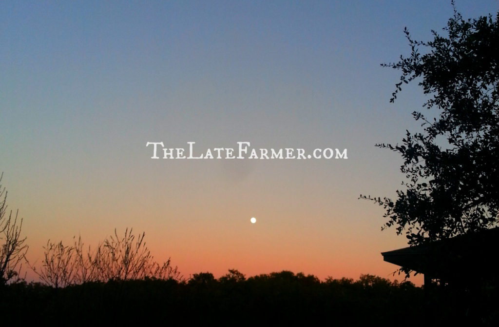 Day 11 - 2014 - TheLateFarmer.com