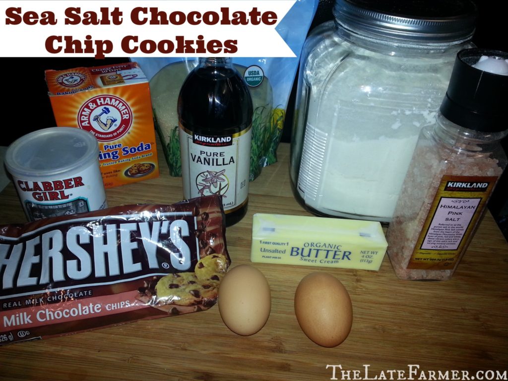 Sea Salt Chocolate Chip Cookies Recipe - TheLateFarmer.com
