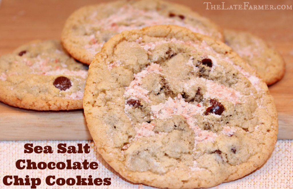 Sea Salt Chocolate Chip Cookies - TheLateFarmer.com