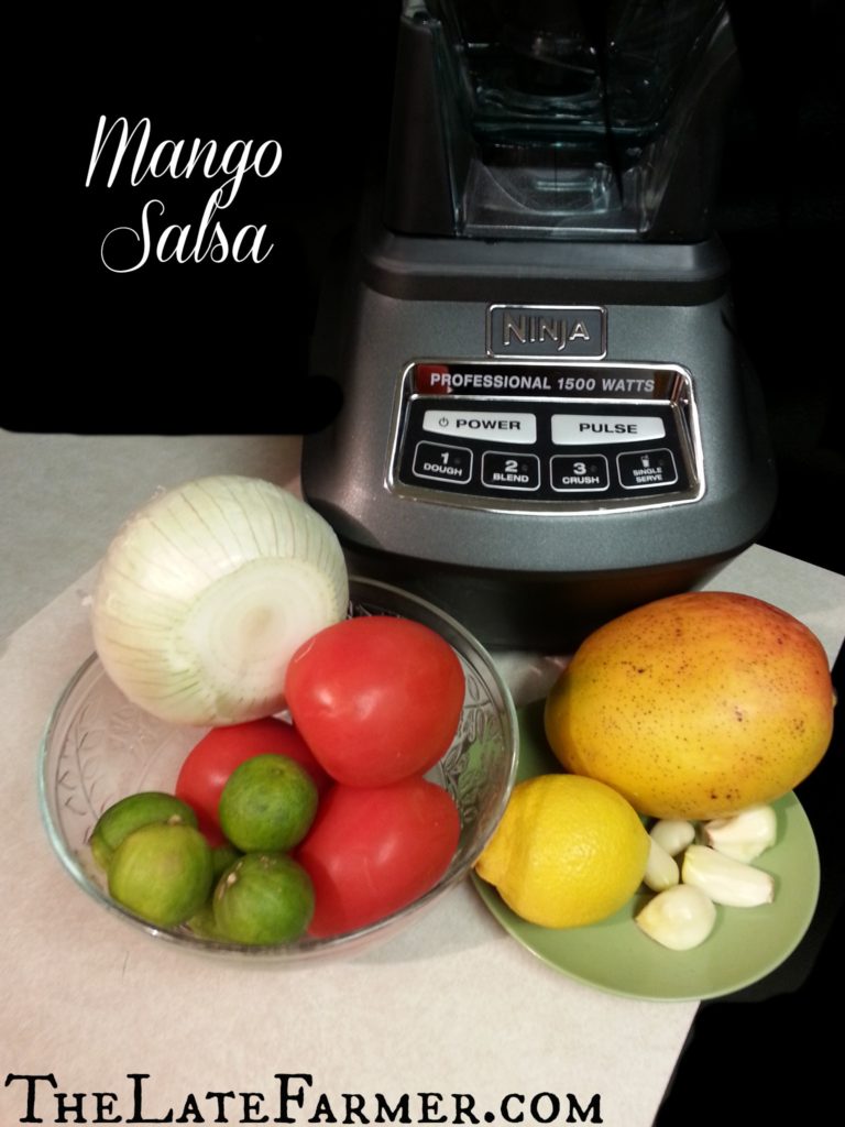 Mango Salsa Ingredients - TheLateFarmer.com